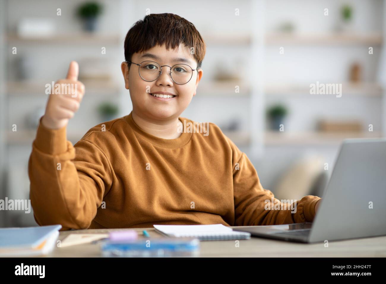 Happy teen boy sitting in front of computer, doing homework Stock Photo