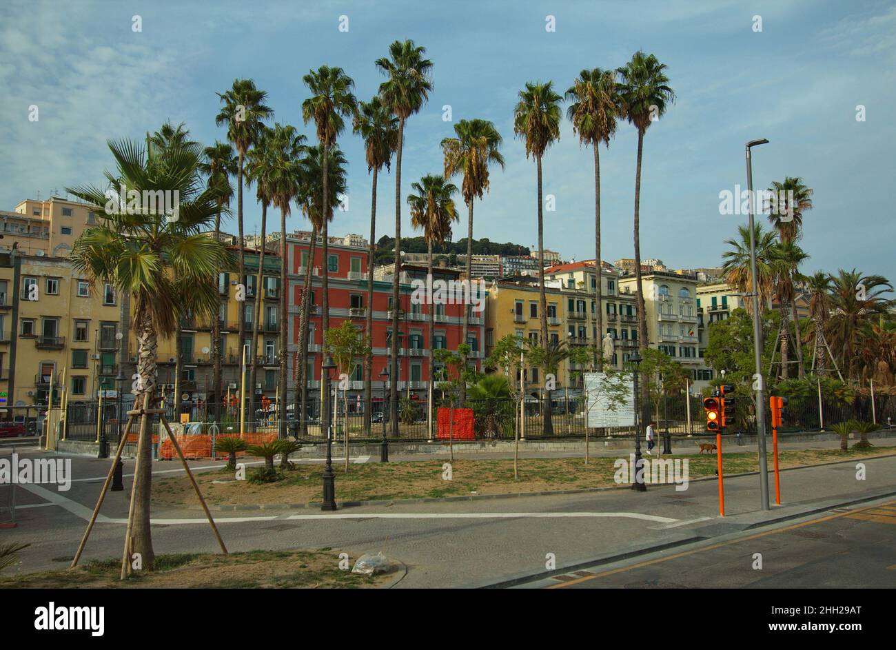 Palm trees in Naples,Italy,Europe Stock Photo Alamy