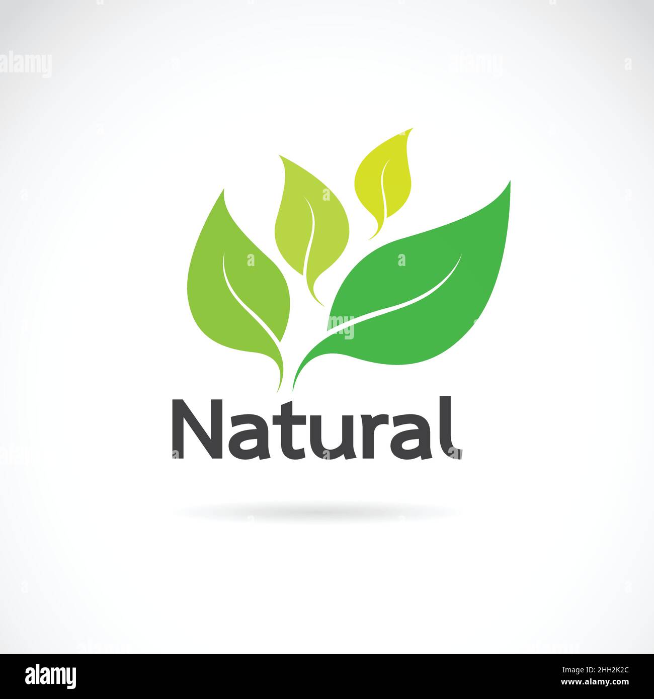 Natural logo design vector template on white background. Leaf icon Stock Vector