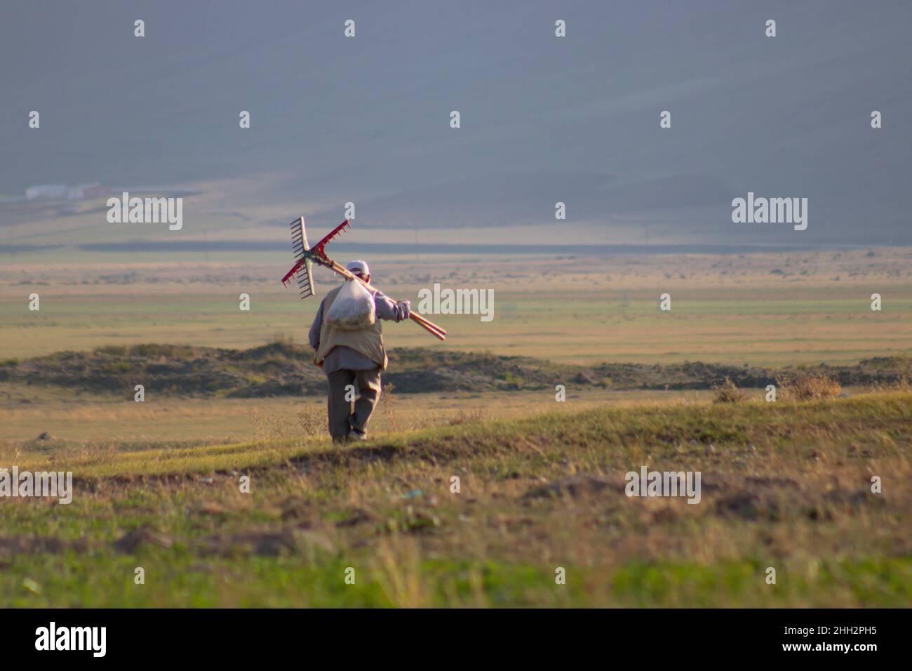 A farmer in Anatolia. He is going to harvest his field. Stock Photo