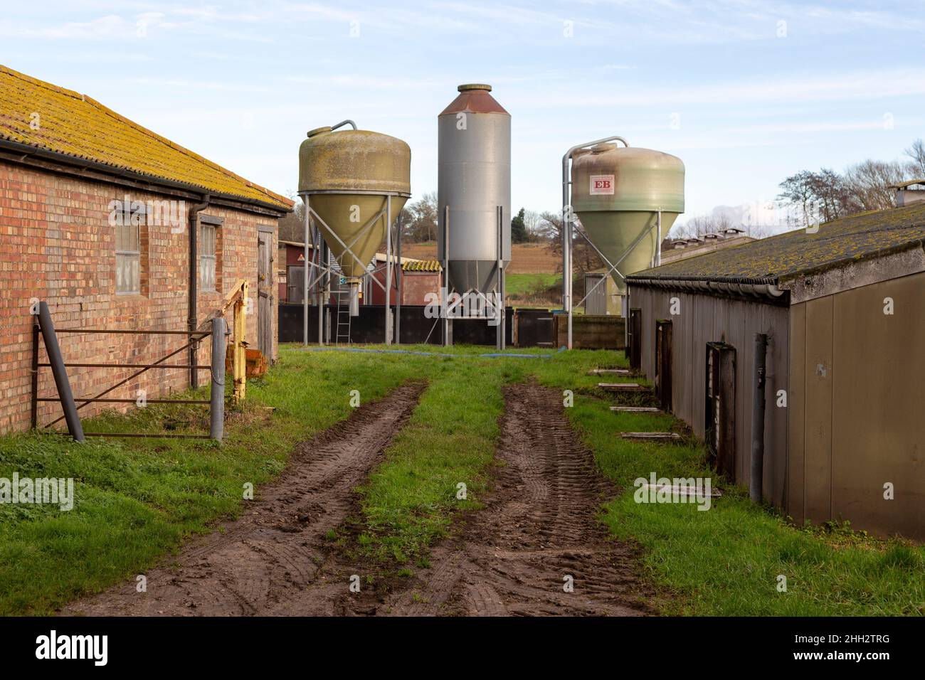Food storage silos fodder feed containers on pig farm, Sutton, Suffolk