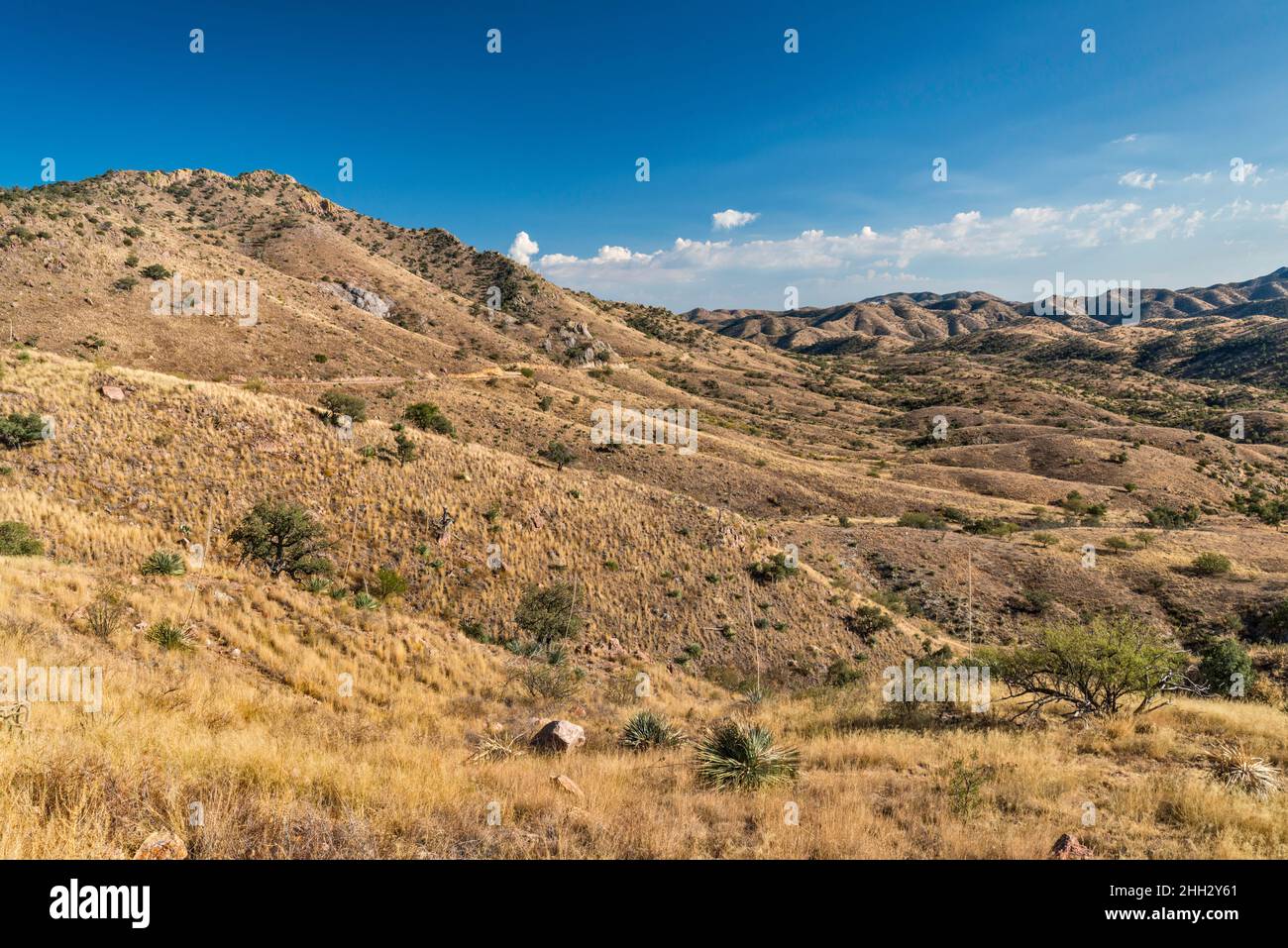 Atascosa Mountains, near Mexican border, view from Ruby Road, Coronado National Forest, Arizona, USA Stock Photo