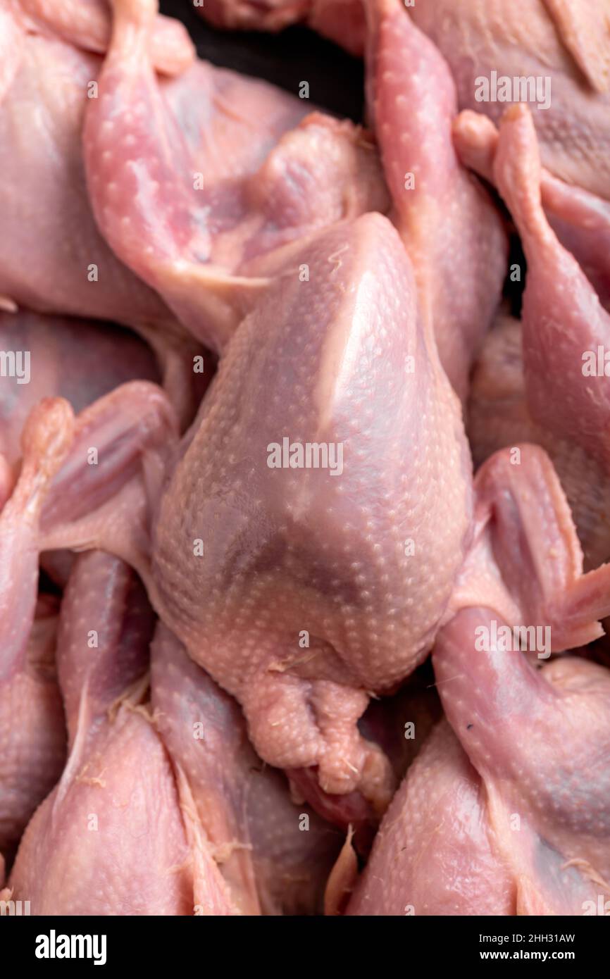 Birds and meat hires stock photography and images Alamy