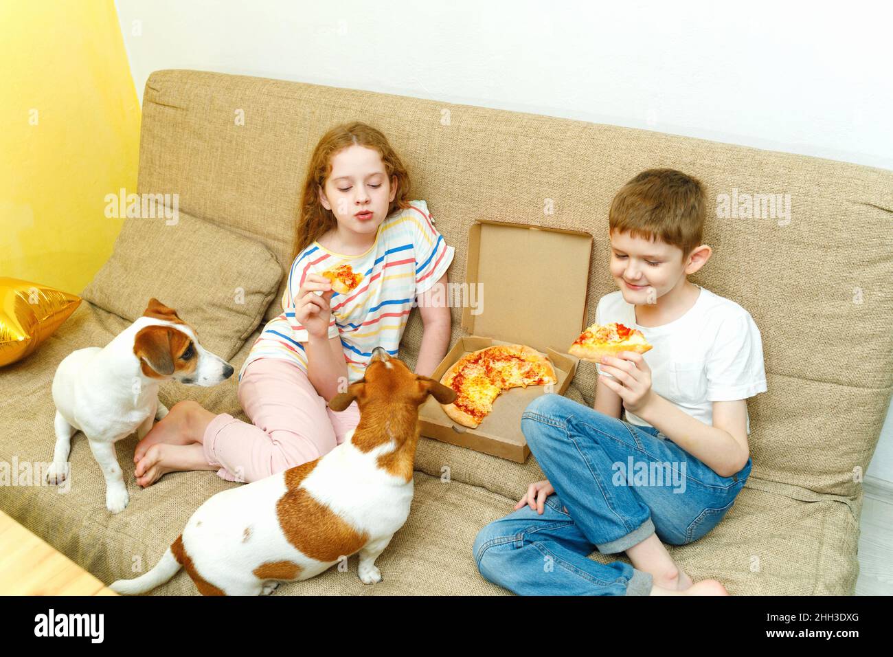 Child eating pizza at home, dog  begging for pizza. Friends eat pizza together at home. Stock Photo