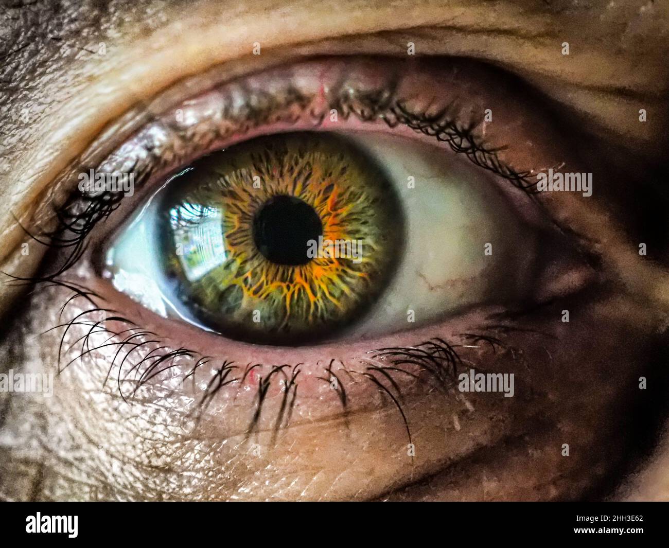 Eyeball Close Up Stock Photo - Download Image Now - Iris - Eye