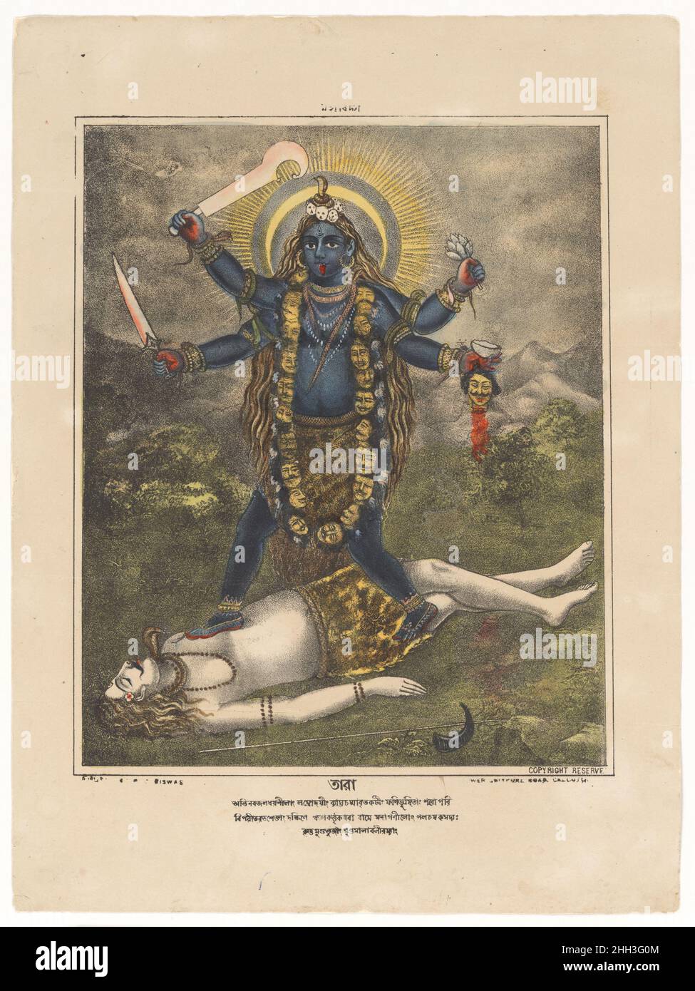 Goddess Tara ca. 1880–85 West Bengal, Calcutta This remarkable image has all the trappings of the goddess Kali but is named as the mahavidya Tara, a personification of the transcendent wisdom who guides devotees to salvation (moksha), protecting them on their journey. She is also worshipped as the source of divine energy including the power of the sun. Iconographically she is distinguished from Kali was her dark blue complexion and a swelling stomach indicating her pregnant state. In other respects, they share much, both being four-armed and wielding two butchering blades, wearing a garland of Stock Photo