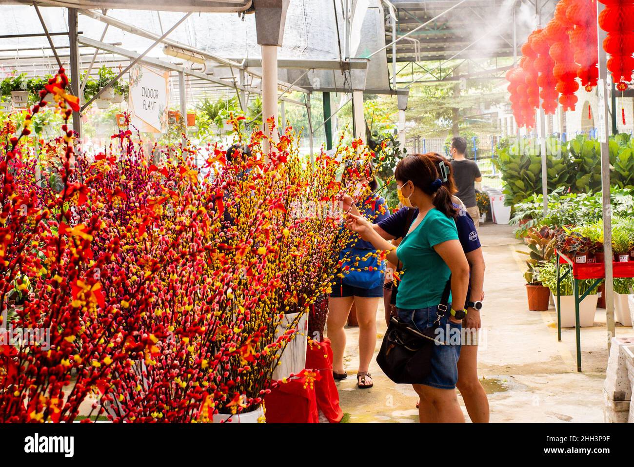 Kuala Lumpur, Malaysia. 23rd Jan, 2022. People buy plants for Chinese