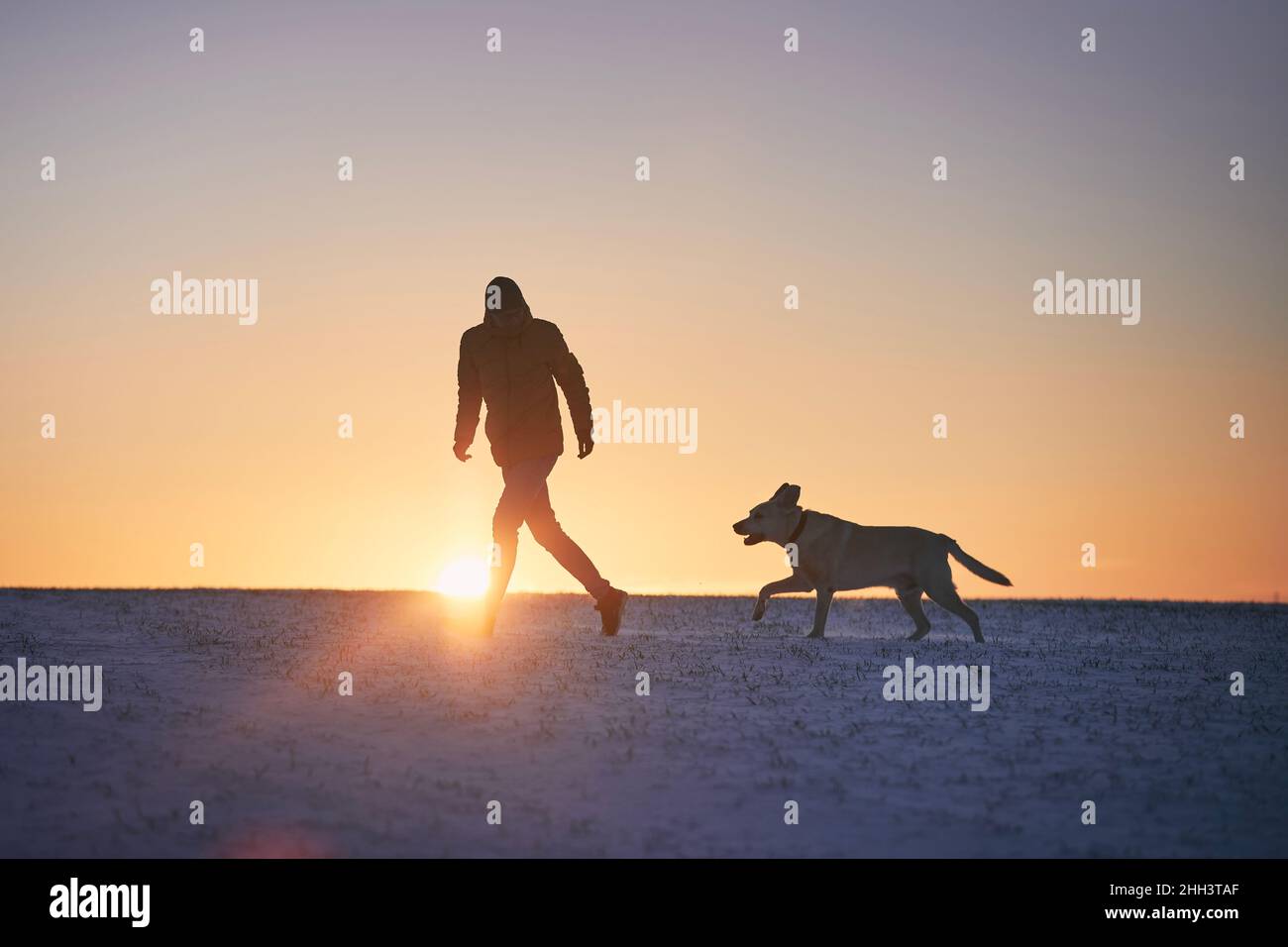 Silhouette of man with dog on snowy meadow. Pet owner running with labrador retriever during winter morning. Stock Photo