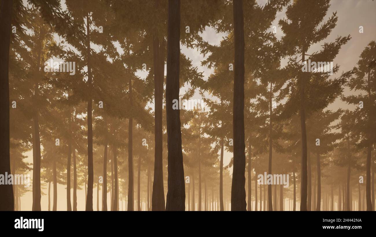 Smog misty forest in beautiful style nature landscape background 3d render Stock Photo