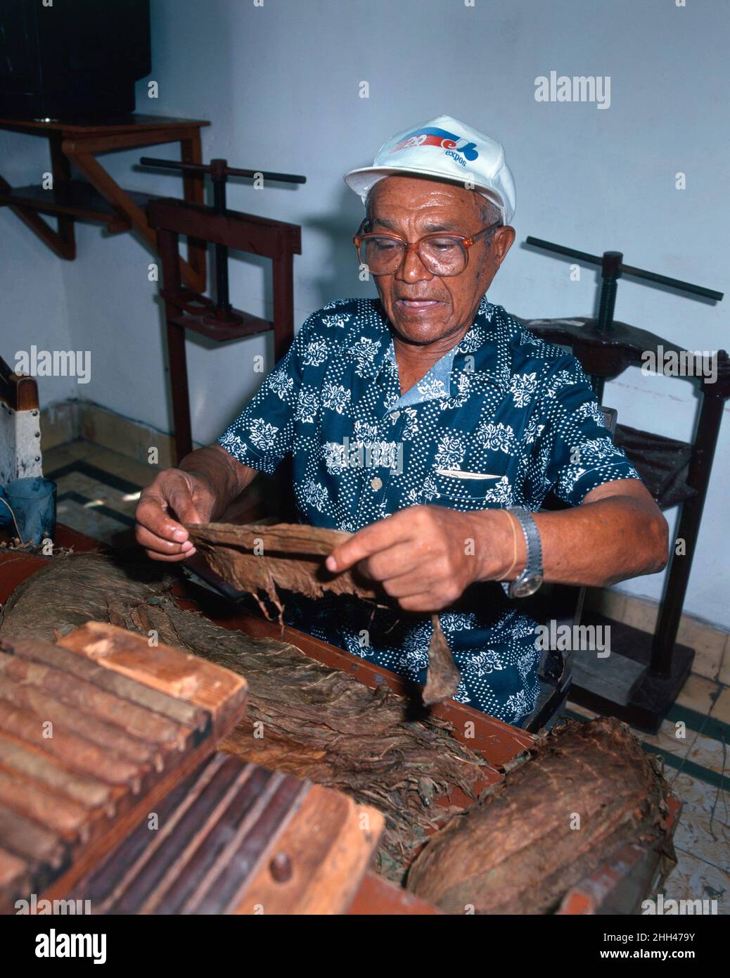 Rolling Cigars, Havana, Cuba Stock Photo