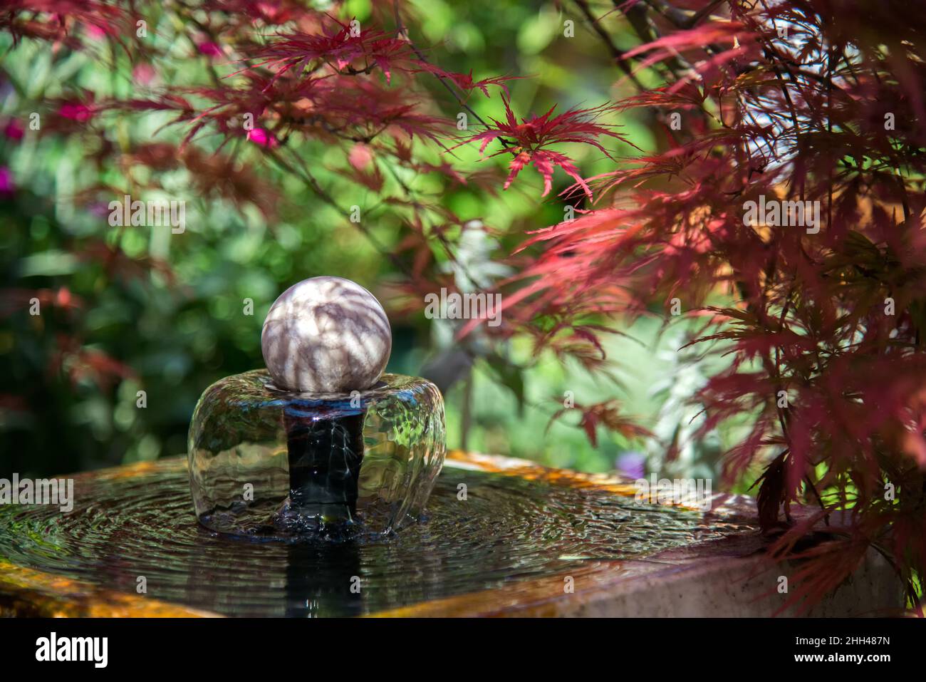 garden fountain under the shade of a palm maple in the backyard on a sunny day - selective focus Stock Photo