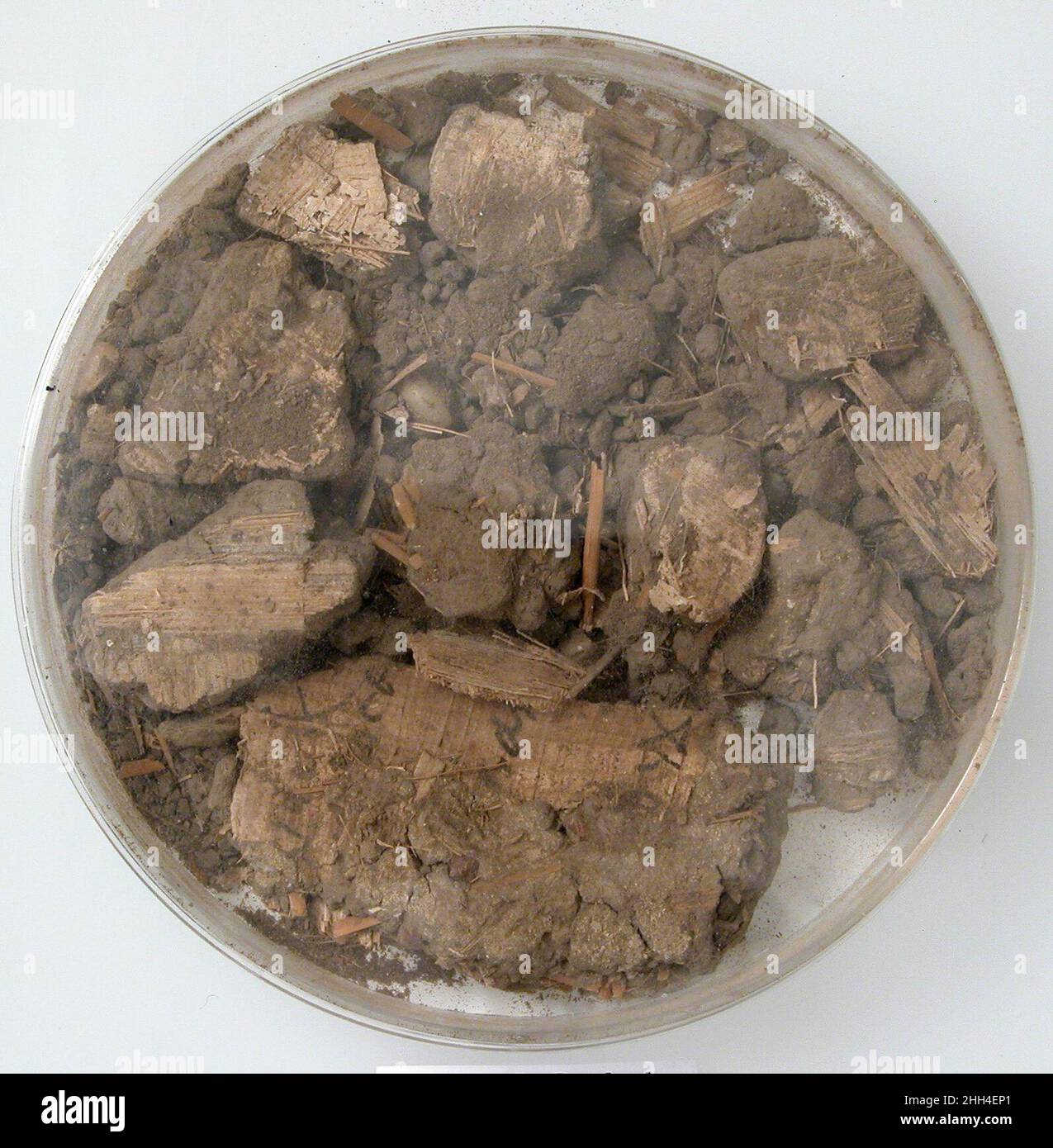Papyri Fragments and Mud 7th century Coptic. Papyri Fragments and Mud ...
