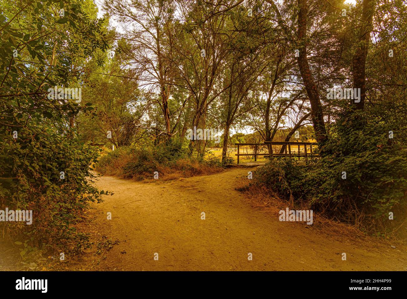 country landscape with path and bridge over a stream in Guadarrama sierra. Cerceda Madrid Spain. Stock Photo