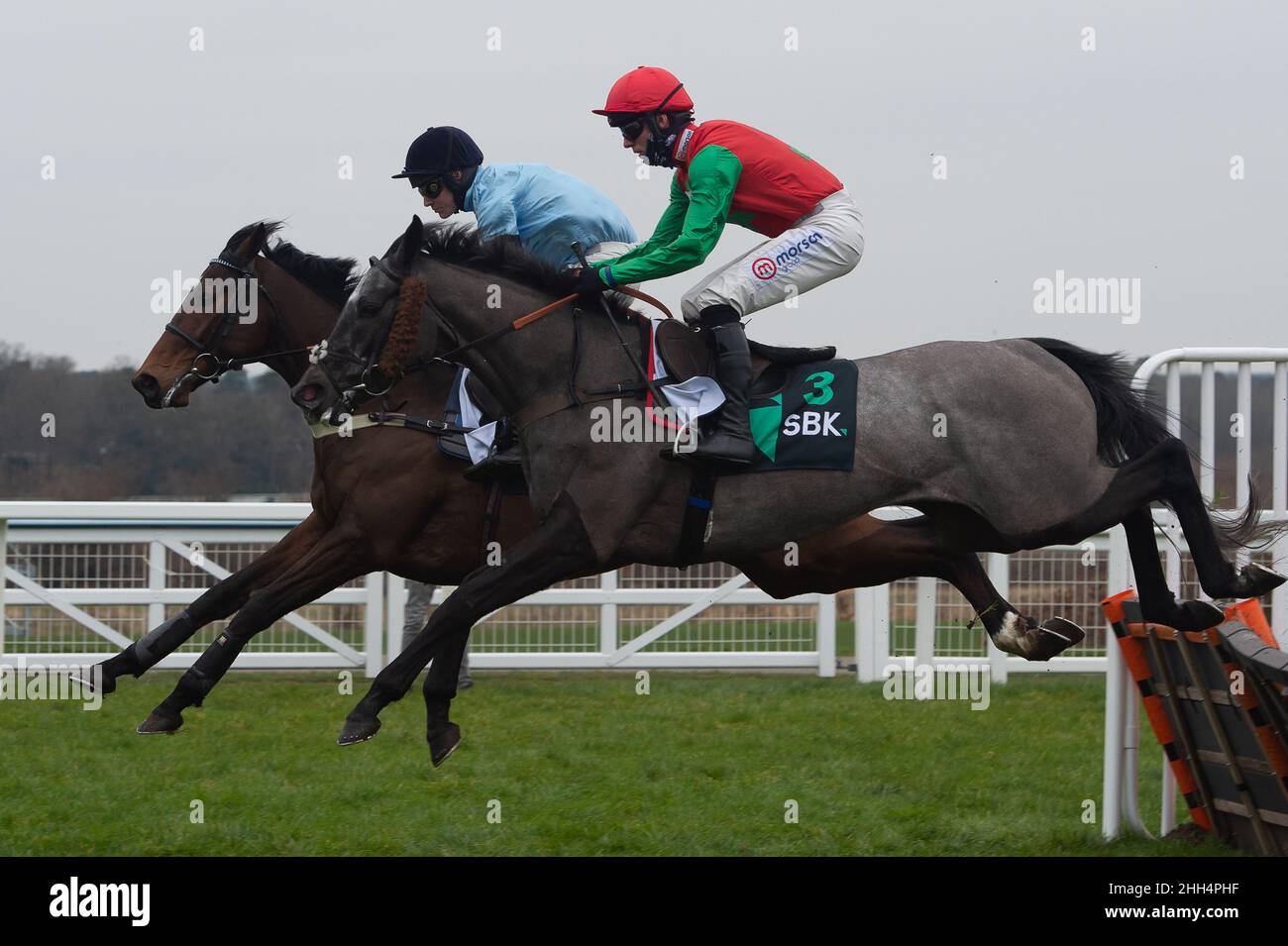 Ascot, Berkshire, UK. 23rd January, 2022. Horse Irish Hill ridden by jockey Harry Cobden (red silks) and horse Restitution ridden by jockey Tom Cannon clear a hurdle in the SBK Betting Podcast Juvenile Hurdle Race (Class 3) (Novices’ Championship Hurdle Series Qualifier) (GBB Race). Credit: Maureen McLean/Alamy Stock Photo