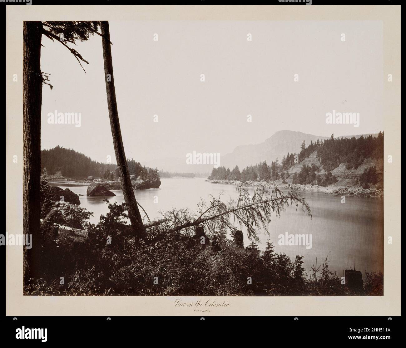 Wet collodion process hi-res stock photography and images - Alamy