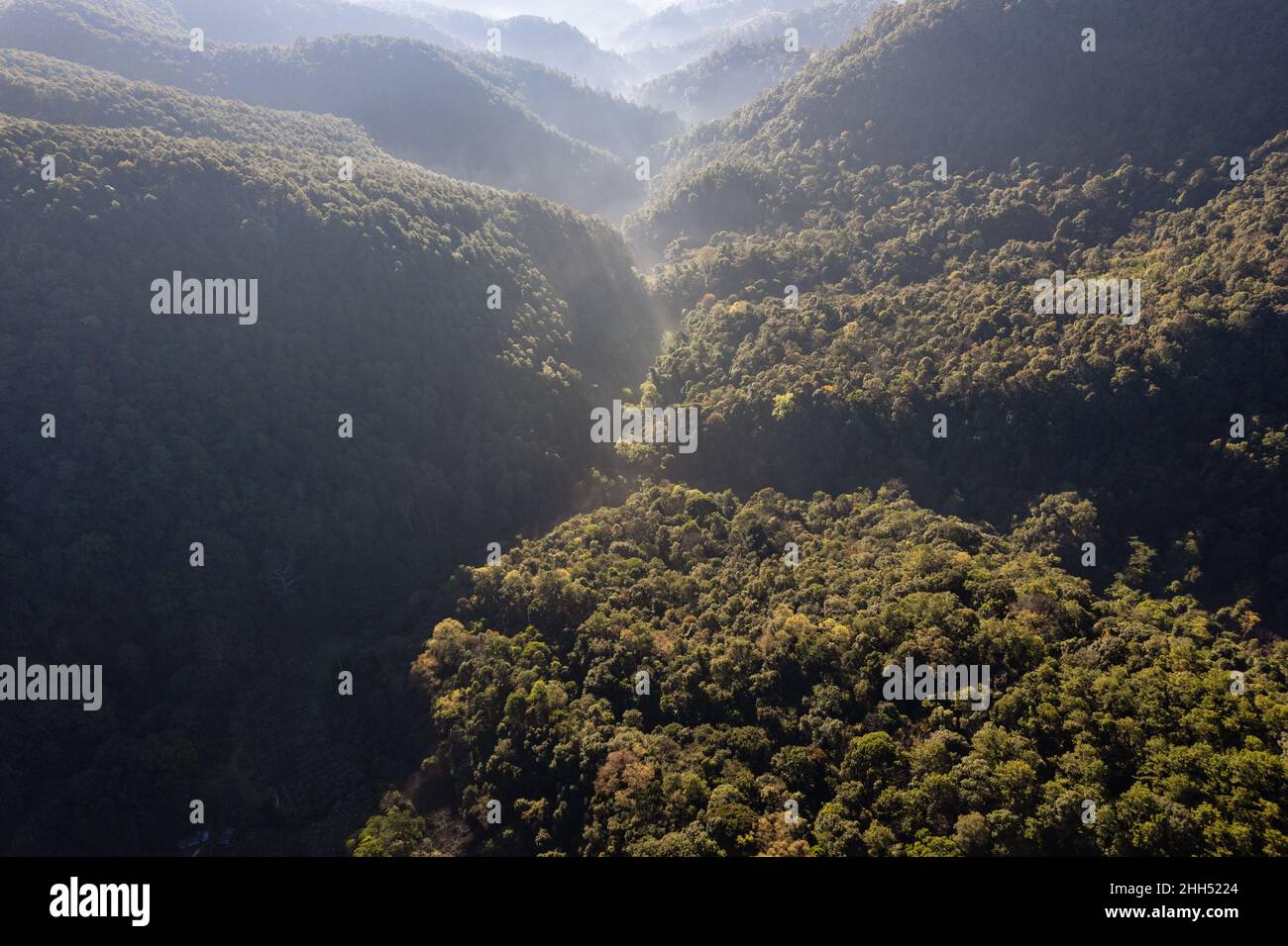 Aerial view of lush green forest mountain with foggy and sunshine in