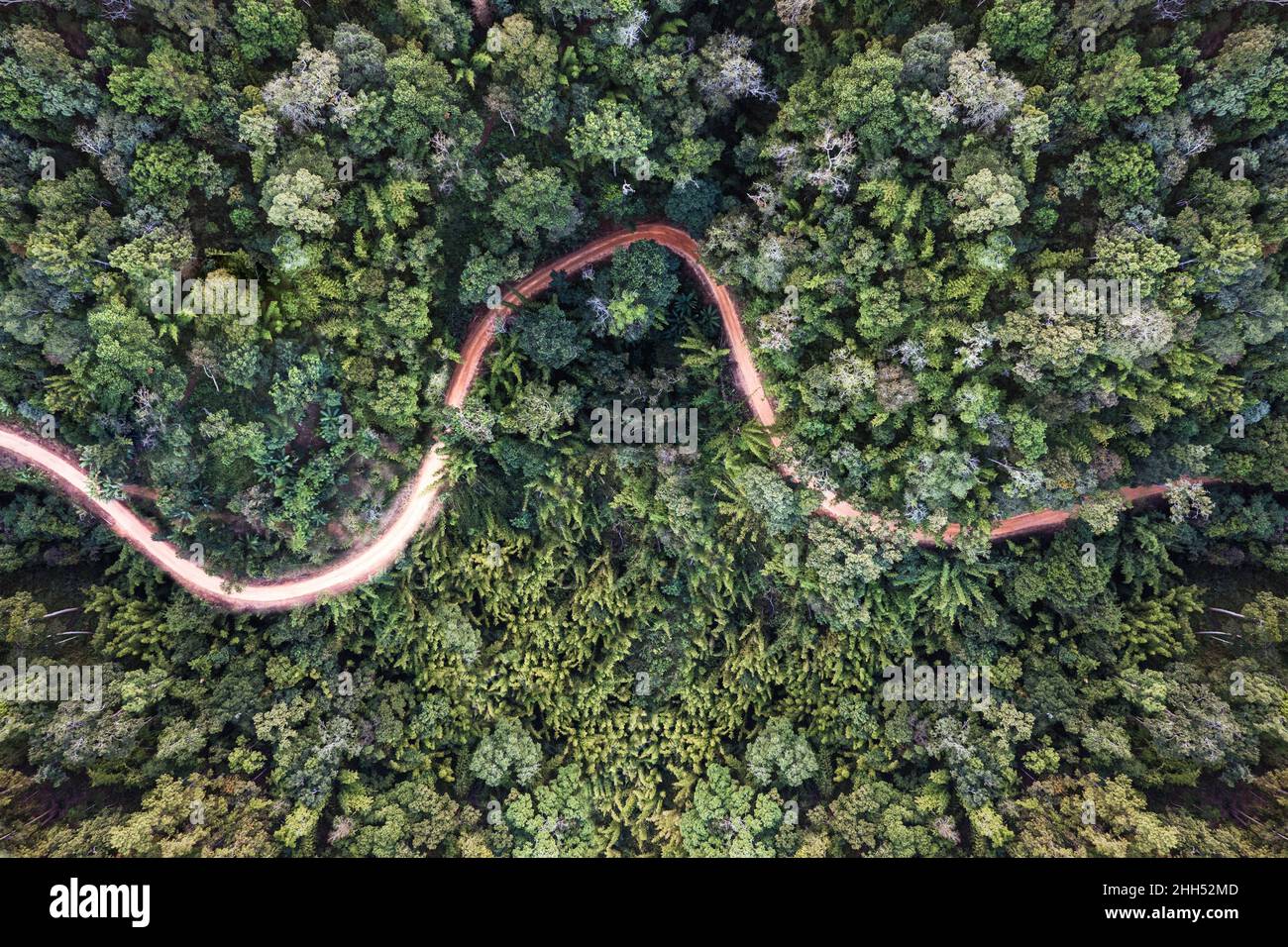 Lush green hill winding hi-res stock photography and images - Alamy