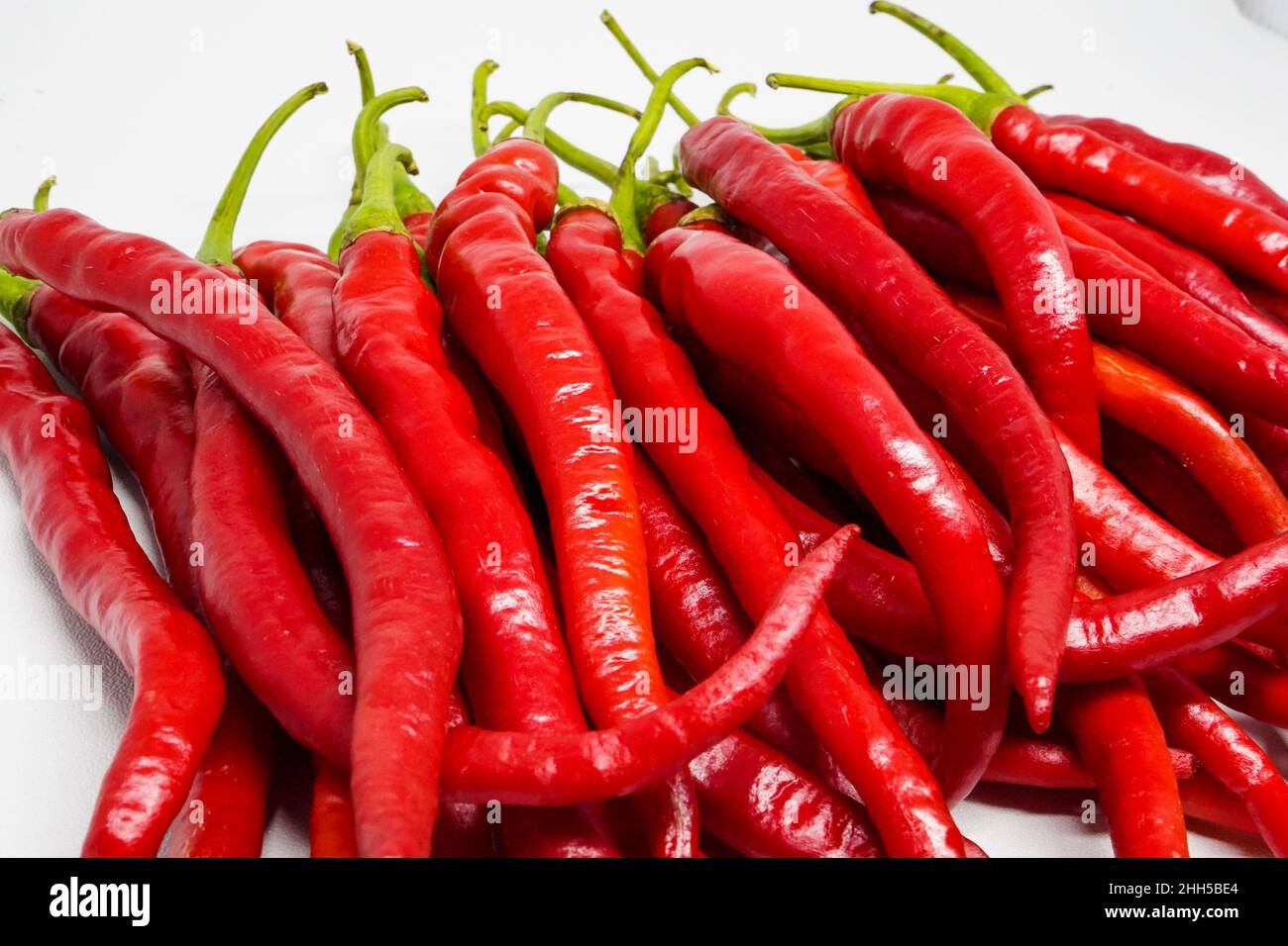 Red Chili Curly is one of the most widely grown and sold red chili
