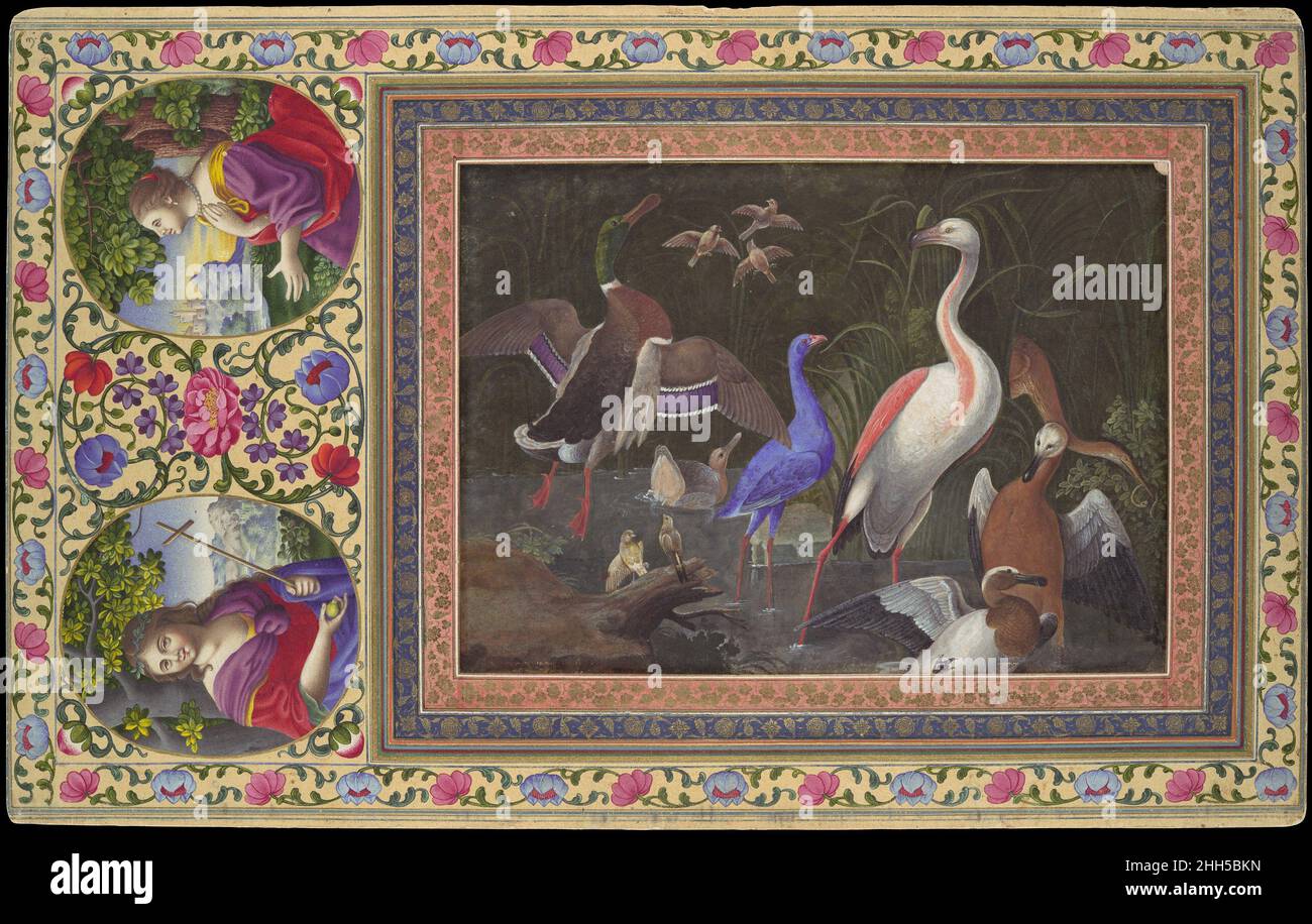 'Aquatic Birds at a Pool', Folio from the Davis Album late 17th or early 18th century This album page contains a highly naturalistic image of water birds surrounded by a floral border that incorporates the images of two figures that appear to be based on European sources. Of the four pages from this album with floral borders, two are inscribed with the name of 'Aliquli Jabbadar, one with the name of Muhammad Zaman, and this one is uninscribed. Although 'Ali Quli Jabbadar and Muhammad Zaman were contemporaries and worked in similar styles in the 1660s, 'Ali Quli's work contains striking images Stock Photo