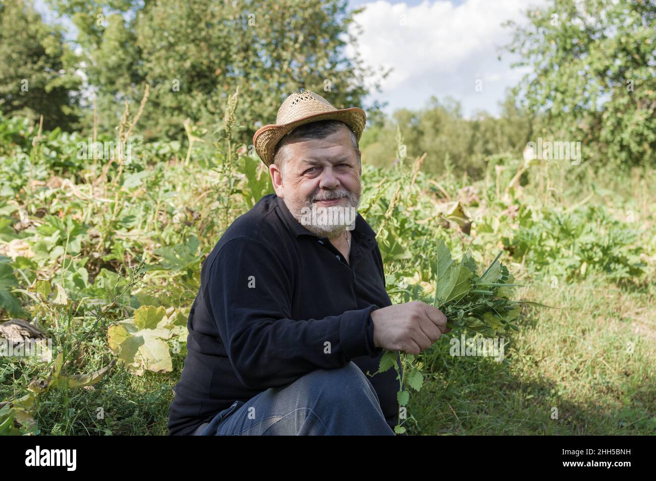 Portrait of ordinary Ukrainian senior farmer sitting on the field edge, holding bunch of grasses and smiling Stock Photo