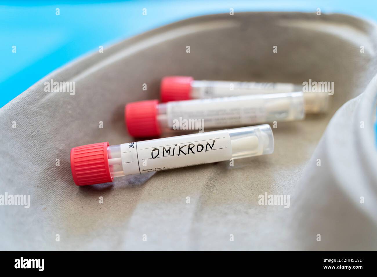 COVID-19 variants swab tubes in kidney dish Stock Photo