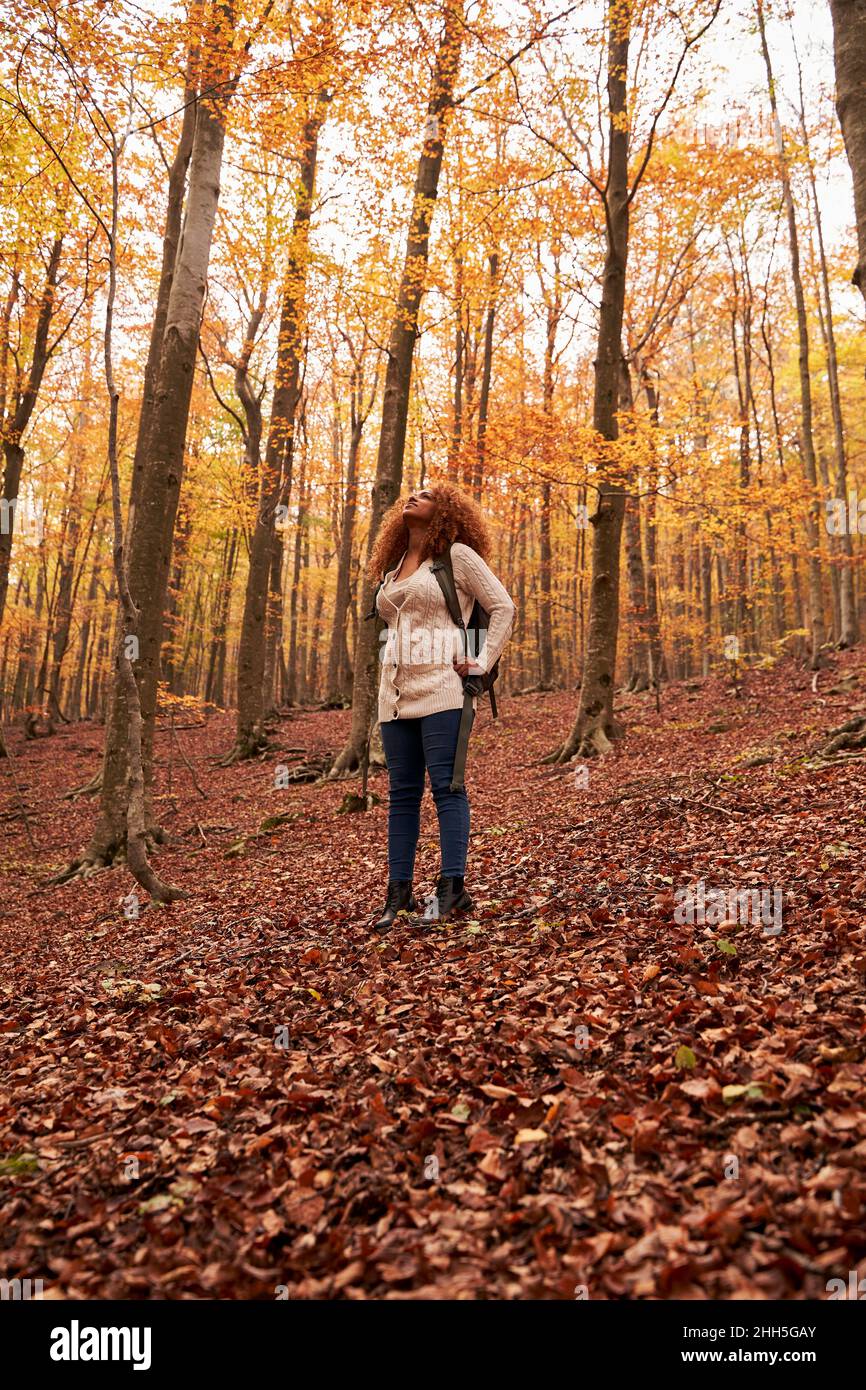 Woman latin american forest hi-res stock photography and images - Alamy