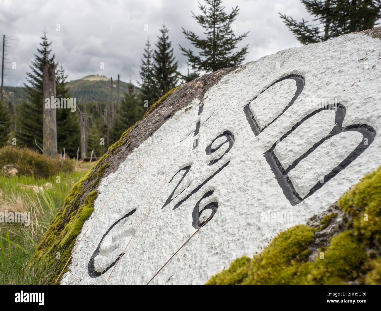 Stone border marker in Bavarian Forest Stock Photo