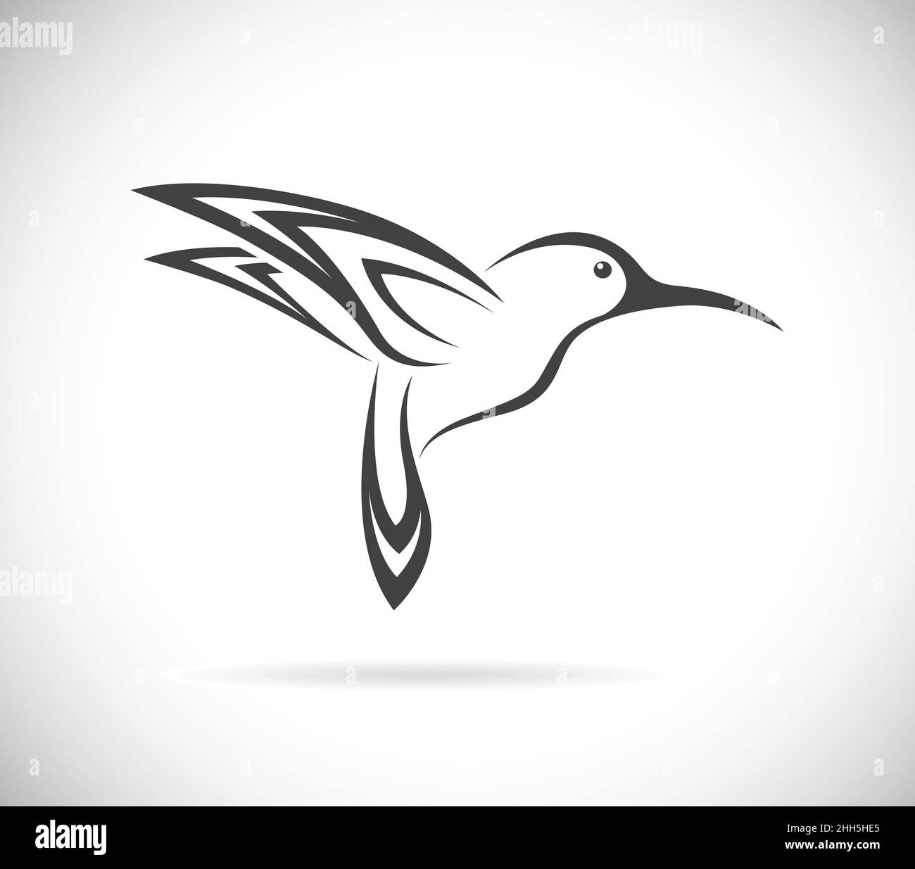 Vector of hummingbird design on white background. Easy editable layered ...