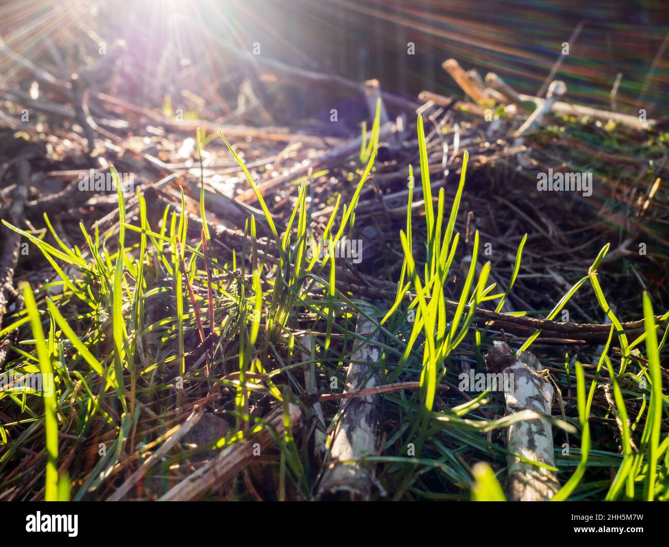 Illuminated blades hi-res stock photography and images - Alamy