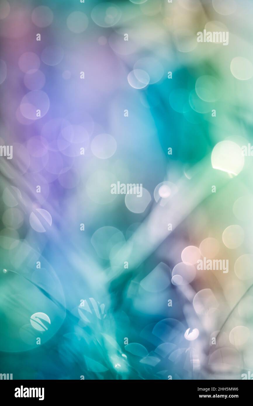 Twinkling lights blurred natural bokeh would make a great background. Abstract and vivid color style. Stock Photo