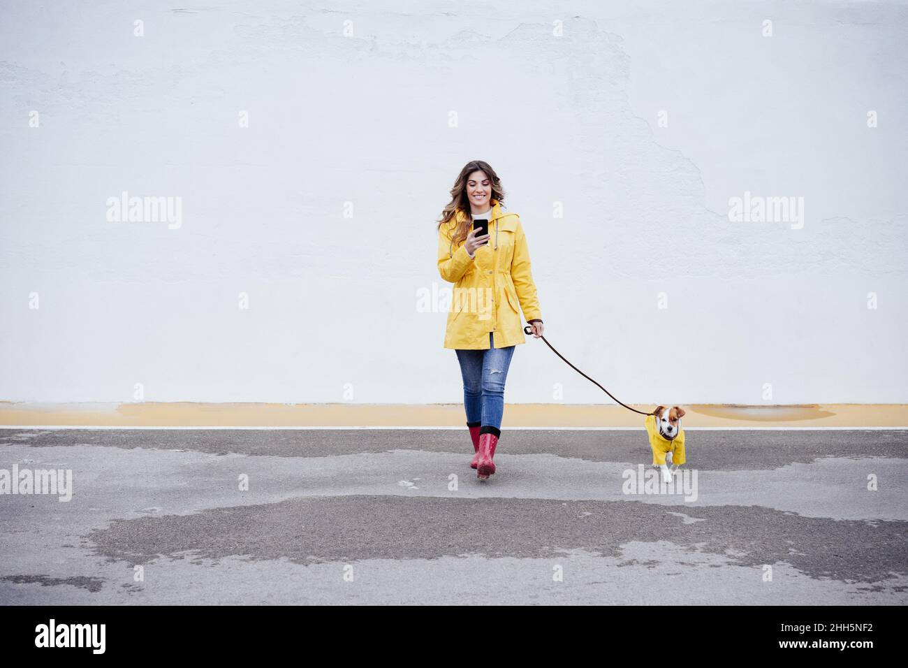 Young woman using smart phone and walking with dog on road Stock Photo