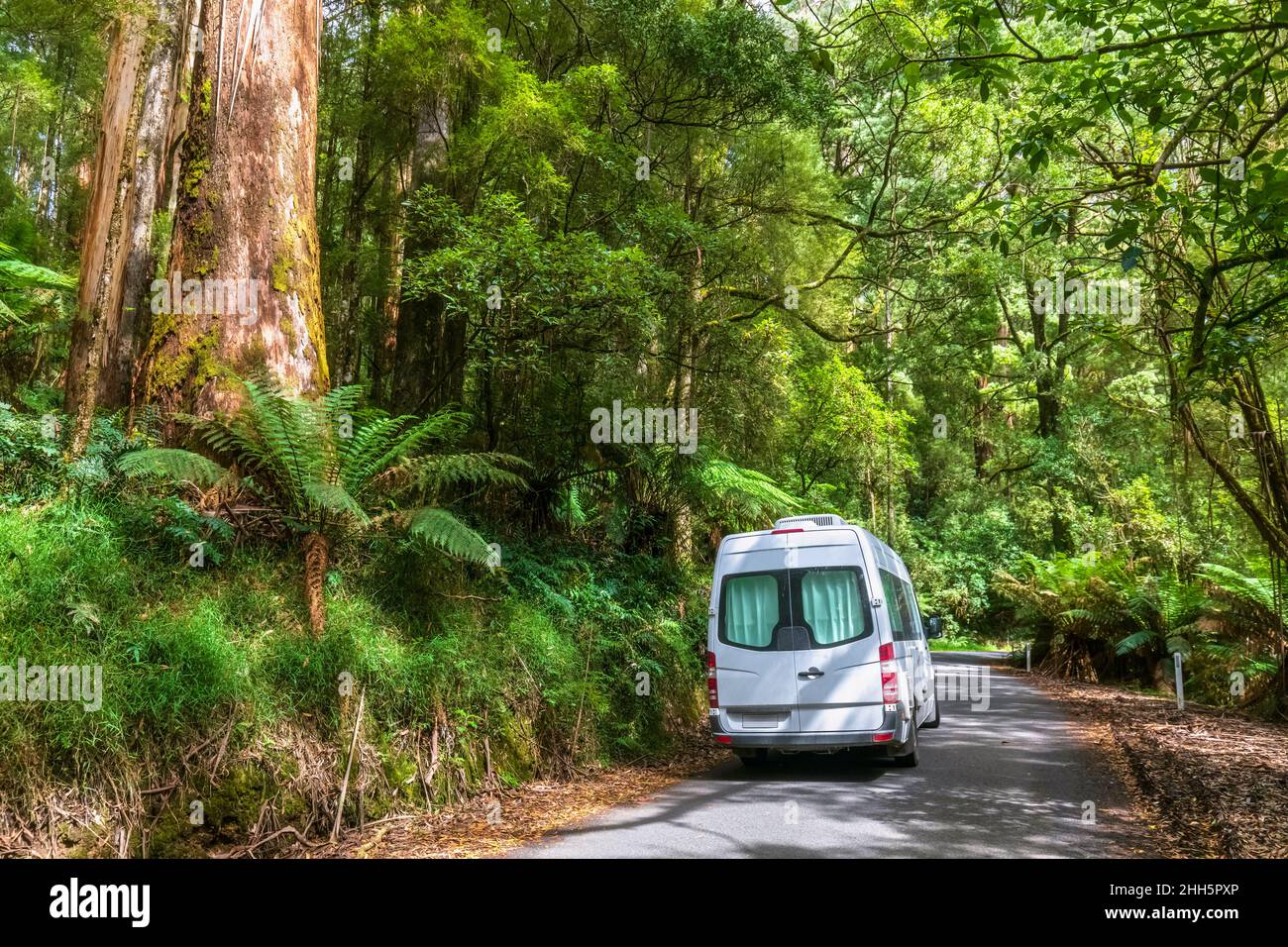 Van parked along forest stretch of Great Ocean Road Stock Photo