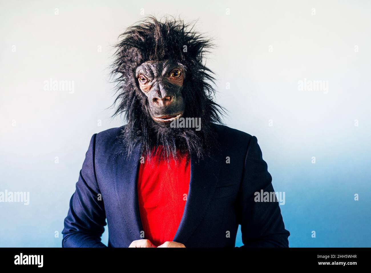 Man in a suit and with a gorilla mask Stock Photo Alamy