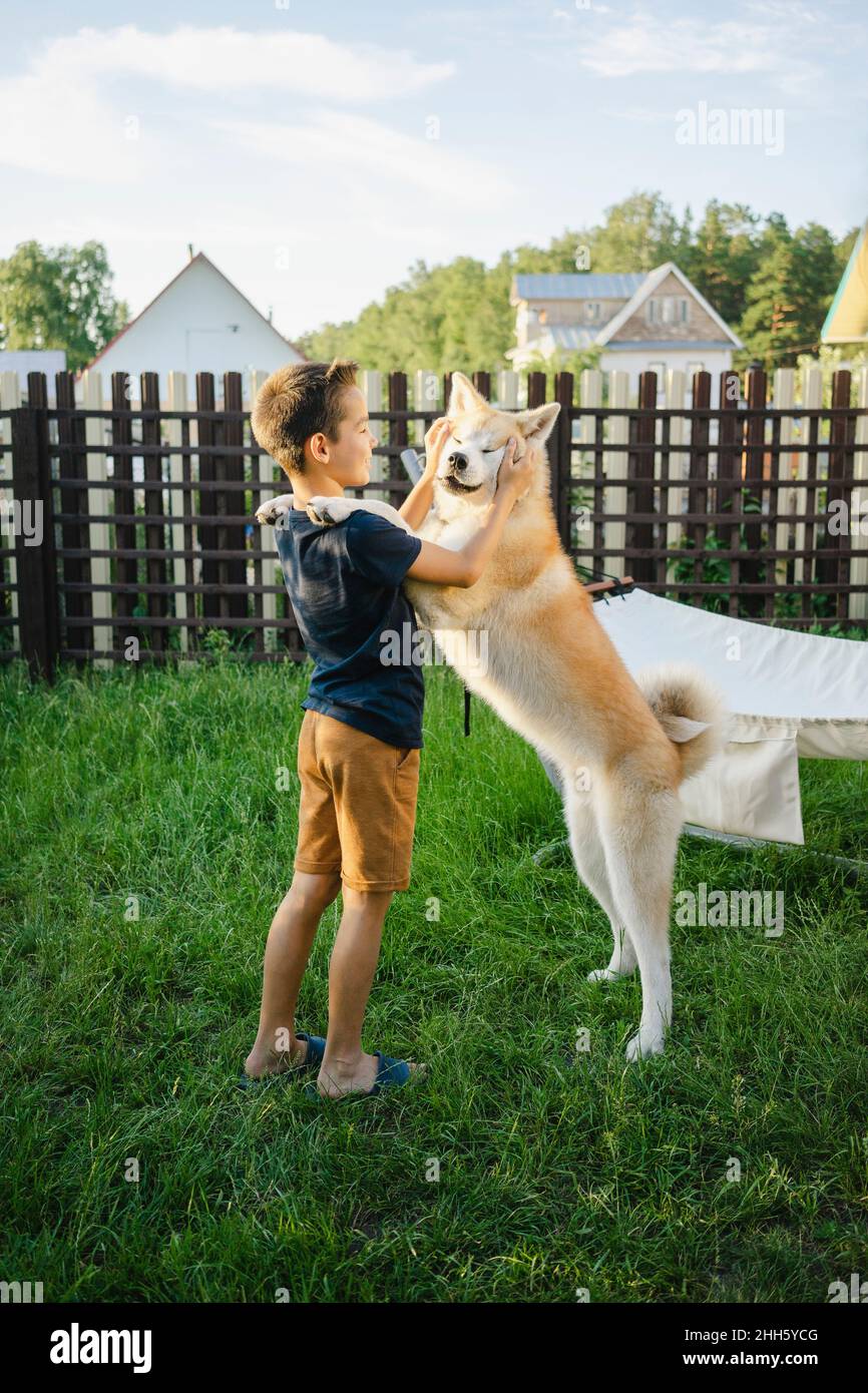 Boy playing with Akita dog on grass at backyard Stock Photo