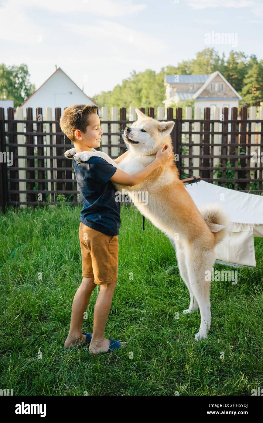 Smiling boy playing with Akita dog on grass in front of fence Stock