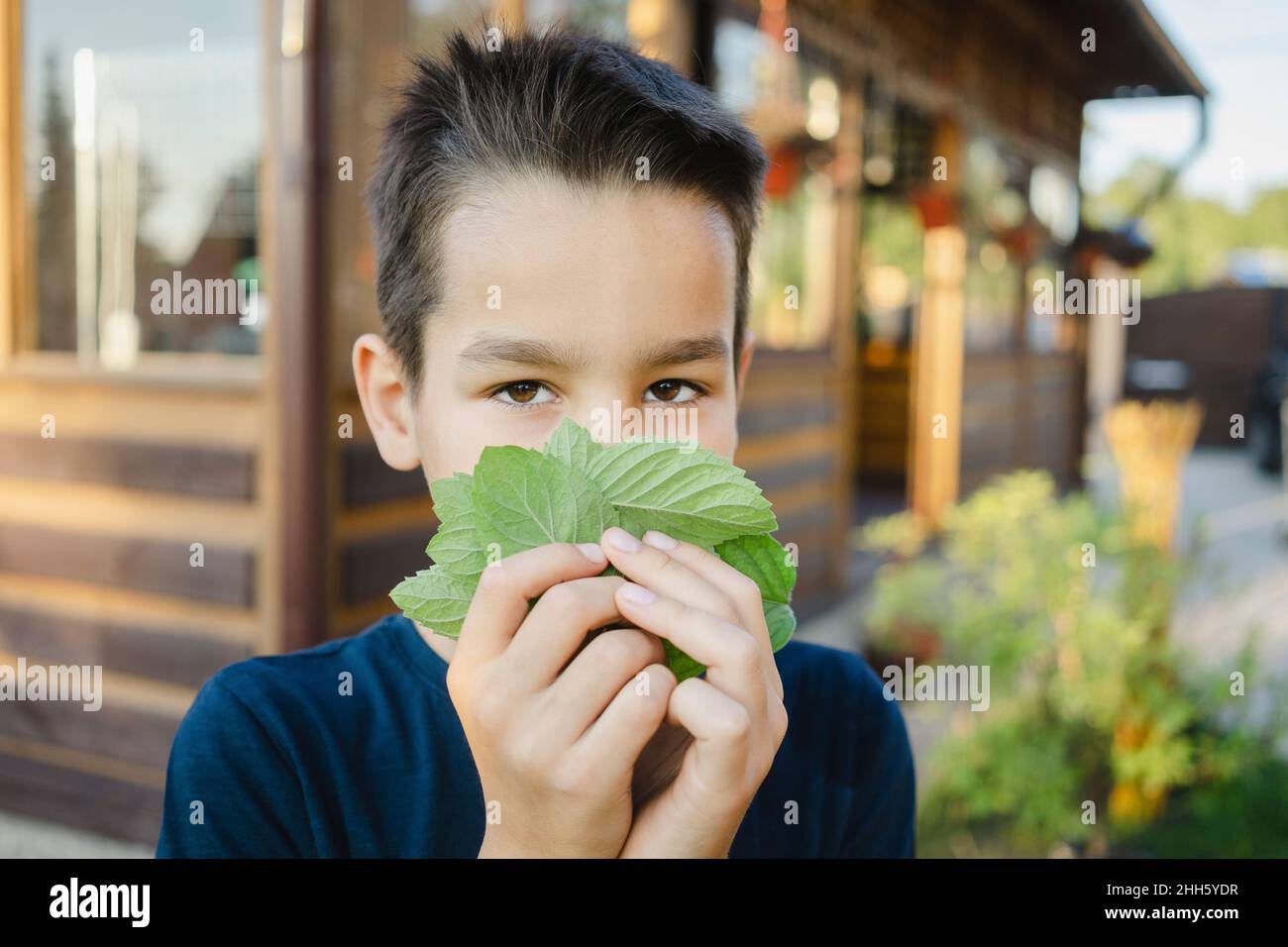 Cute boy covering face with green leaf outside house Stock Photo - Alamy