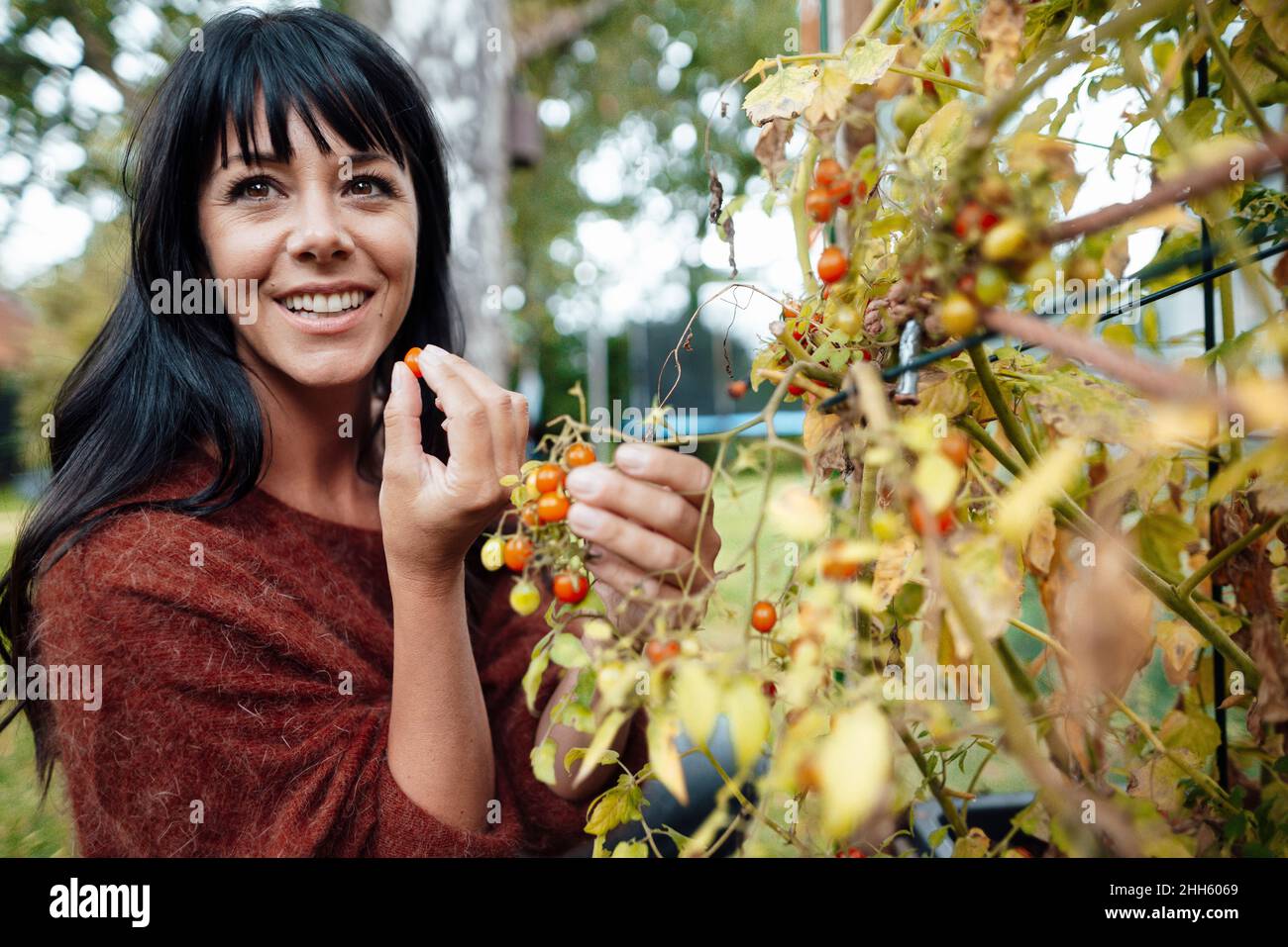 Happy woman picking fruit in backyard Stock Photo