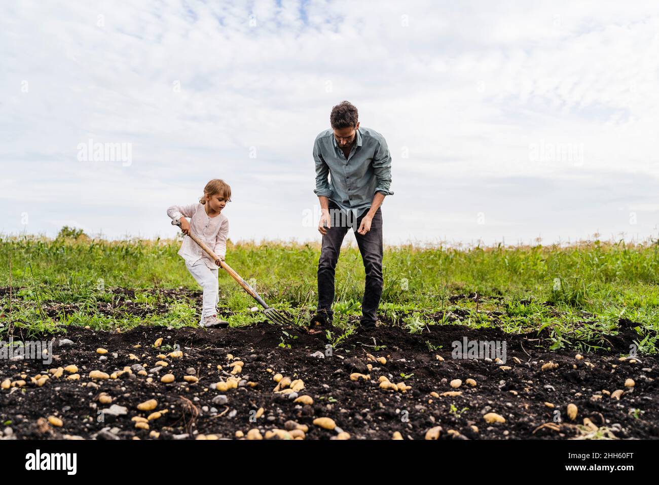 Daughter using pitchfork by father in field Stock Photo Alamy