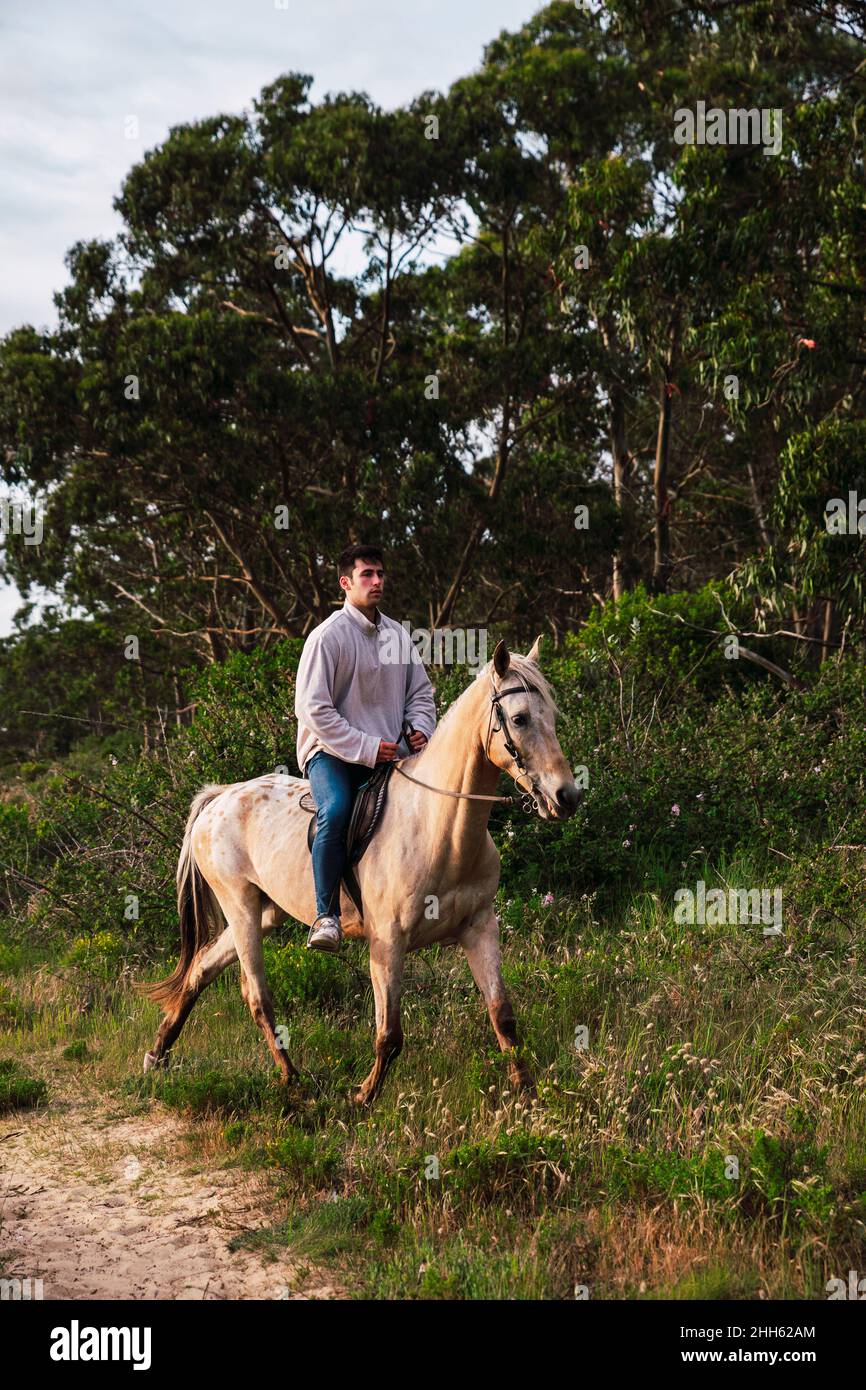 Young man riding horse at sunset Stock Photo