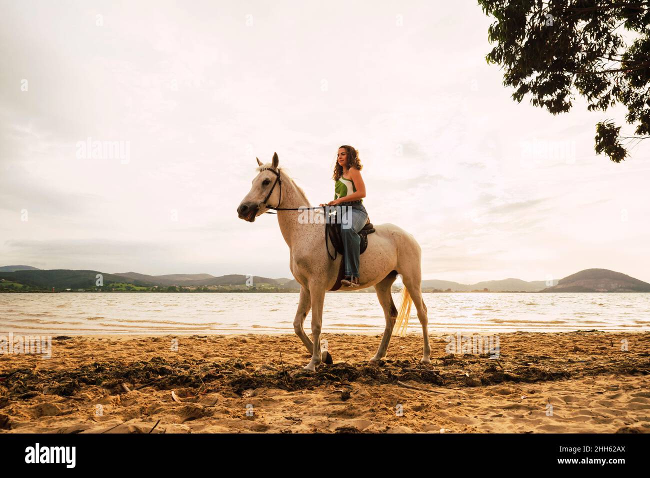 Young woman riding horse at waterfront Stock Photo