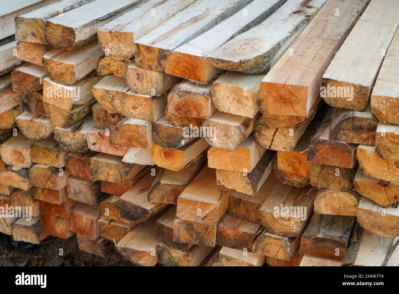 Piles of wood from logging forests to be used as raw materials for