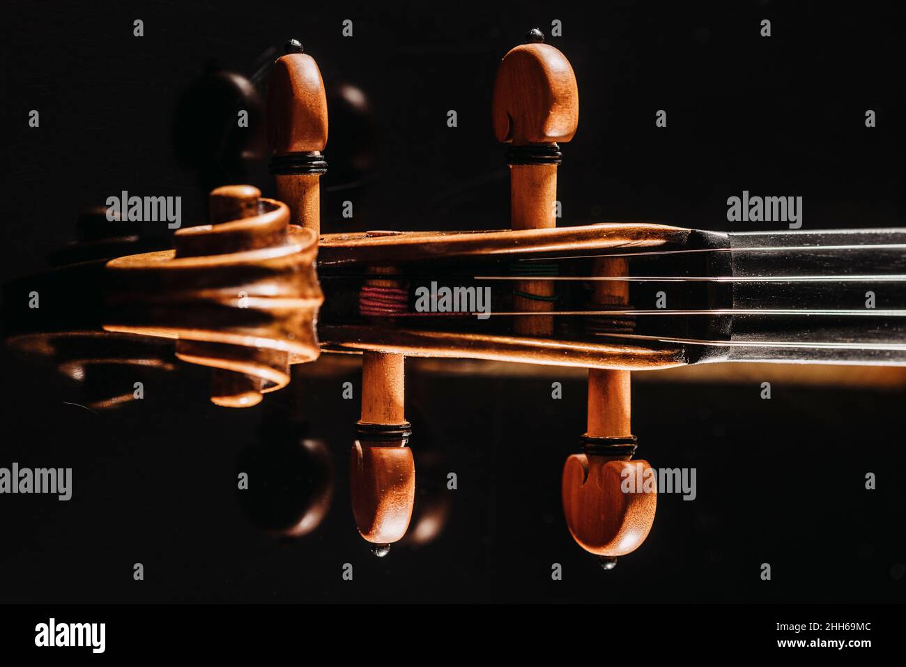 Studio shot of violin scroll and tuning pegs Stock Photo Alamy