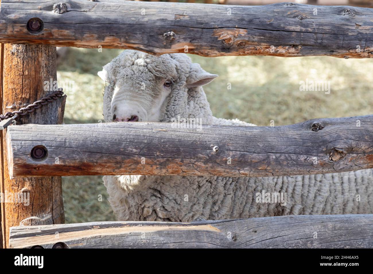 Littleton, Colorado The Littleton Museum features two living history