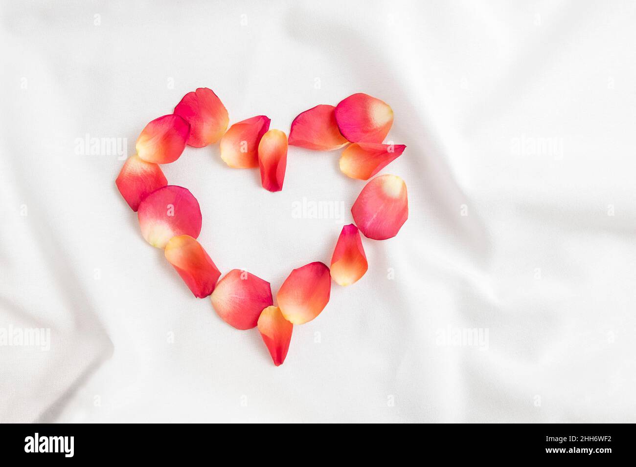 Top view of heart made of pink rose petals on white bed sheets on honeymoon. Surprise romantic concept background stock photo... Stock Photo