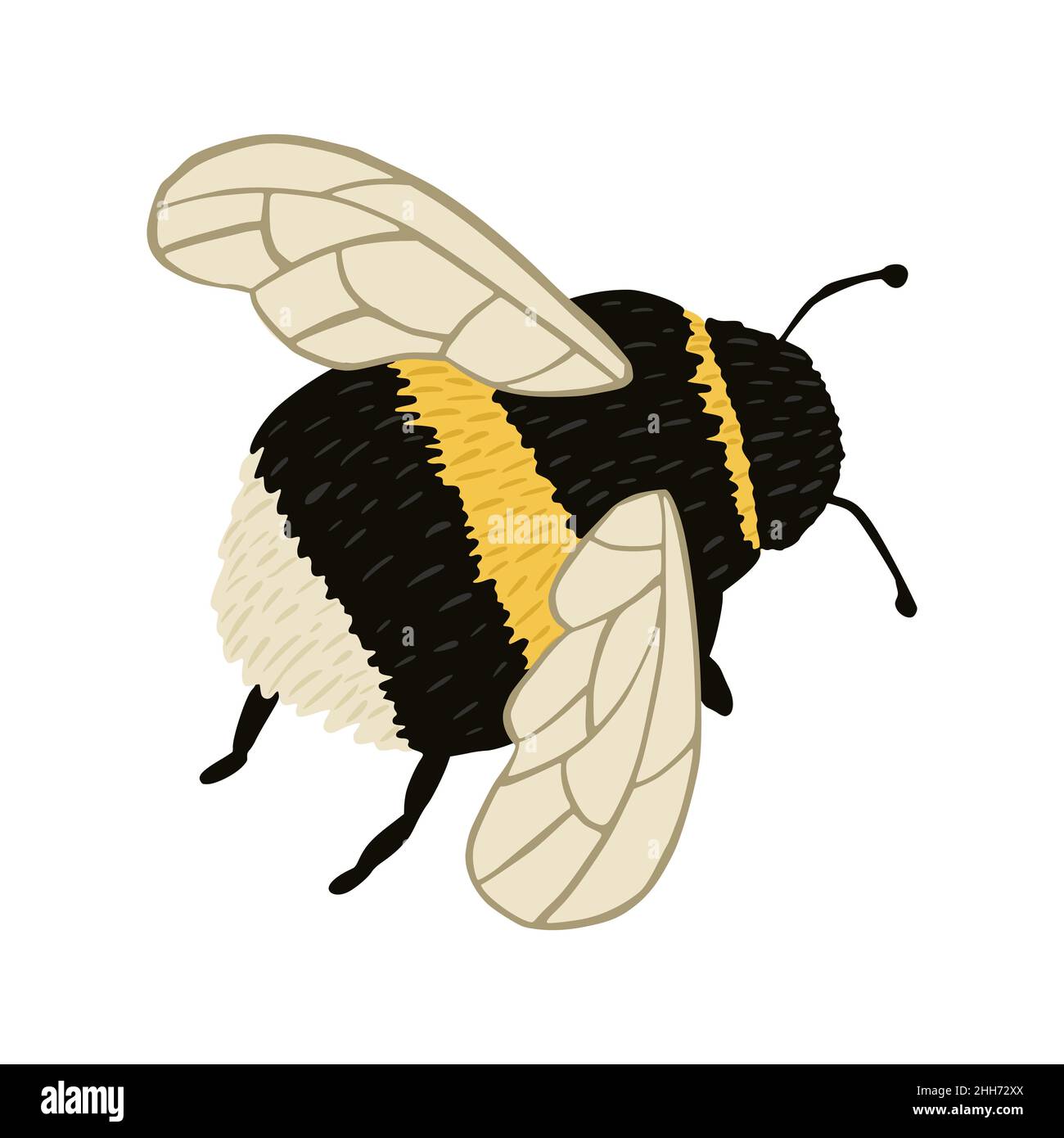 Bumblebee isolated on white background. Abstract insect for pollination in black and yellow color in doodle style vector illustration. Stock Vector