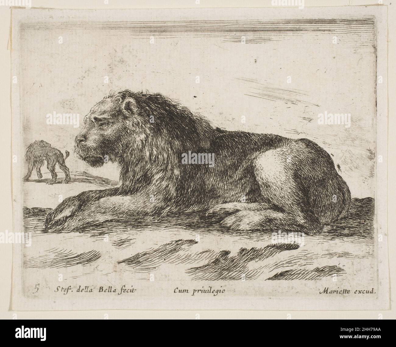 Reclining lion hi-res stock photography and images - Alamy