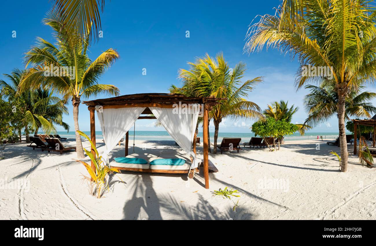 Panoramic view of a beach with gazebo, lounge chairs, and tropical palms on the white sand, in Holbox island in Mexico Stock Photo
