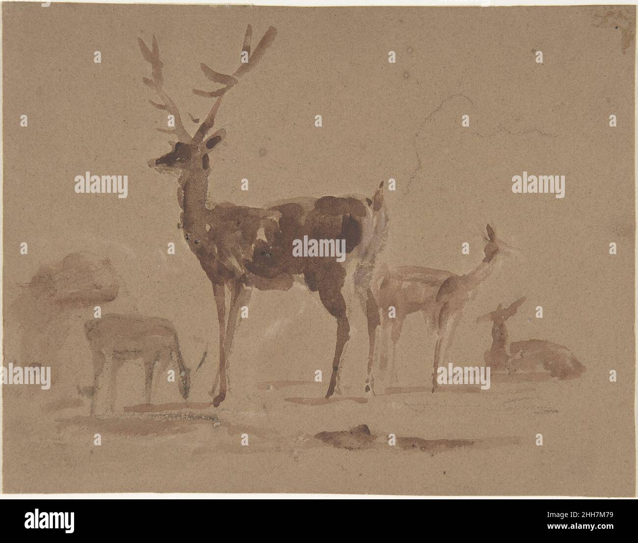 Stag and Its Young 1820–73 Sir Edwin Henry Landseer British. Stag and Its Young. Sir Edwin Henry Landseer (British, London 1802–1873 London). 1820–73. Brush and brown wash over graphite. Drawings Stock Photo