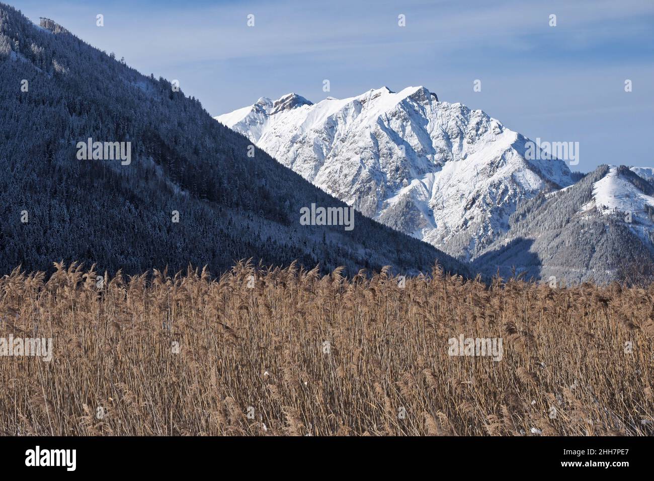 Snowcovered mountains and reed at Lake Achen in Austria Stock Photo