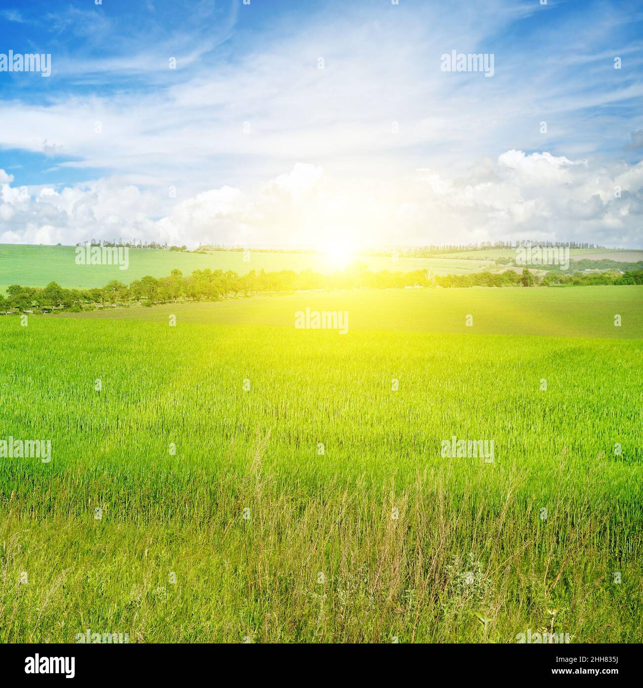 Green field and blue sky with light clouds. Above the horizon is a ...